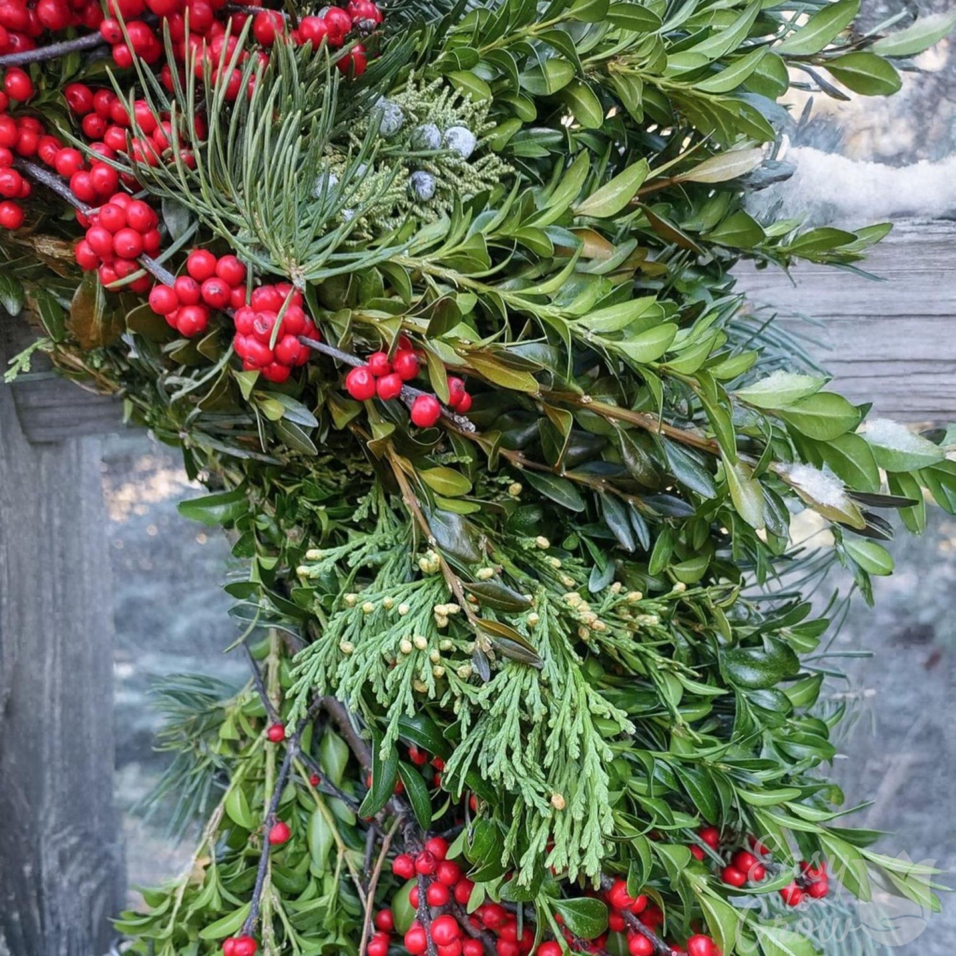 Cedar Ridge luxe Christmas wreath zoomed in on foliage and red berry accents