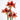 Multiple Amaryllis Bogota Flowers