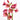 Multiple blooms of Amaryllis Estella