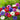Double Mixed Color Anemone Flowers | St. Brigid Mix