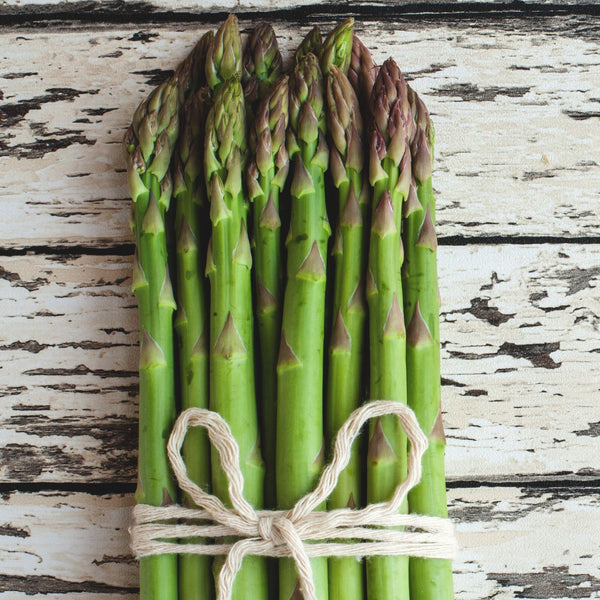 AsparagusJerseySupreme_SHUT_3_ AsparagusJerseySupreme_SHUT_3_