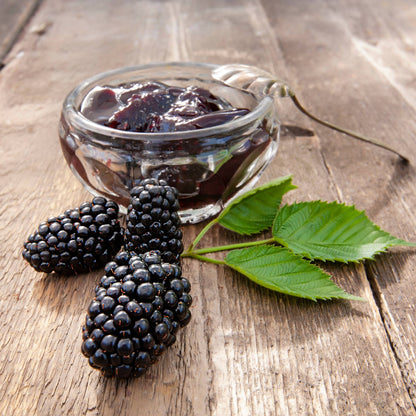 Blackberry Thornless Potted Plant