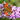 Butterfly Bush Buzz Lavender