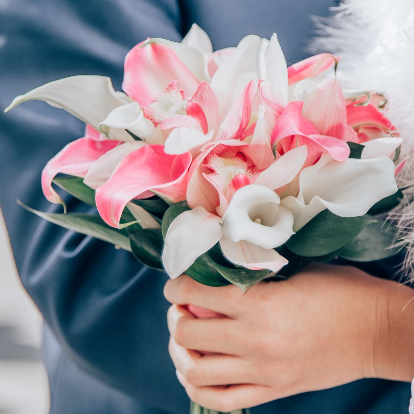 Calla Lily Bulbs For Sale Online – Easy To Grow Bulbs