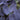 colocasia black magic close up dark purple leaf