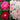 Flower Carpet Marilyn Trio
