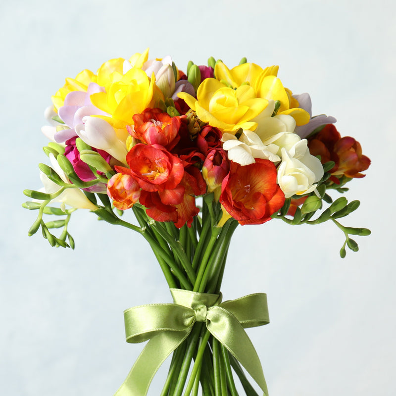 Beautiful, Multicolored Cut Freesias in a Vase