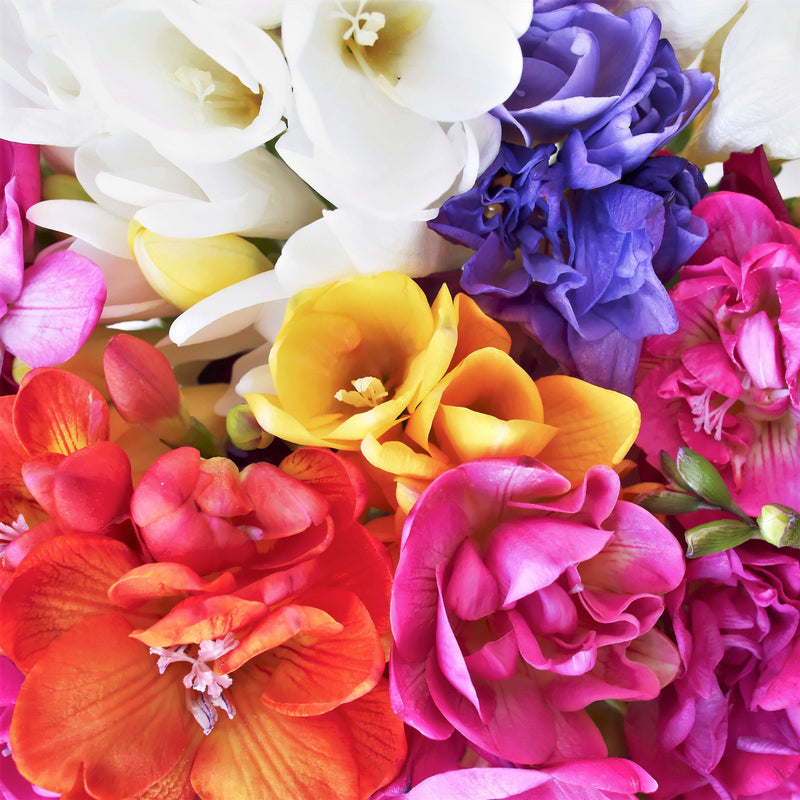 A Rainbow of Colors Comes Together in the Freesia Doubles Mix