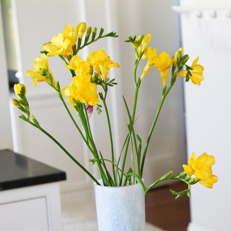 Yellow freesia flowers in a vase