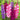 Cheery Berry Colored Gladiolus Stalks