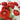 Bold Red Sangria Italian Ranunculus