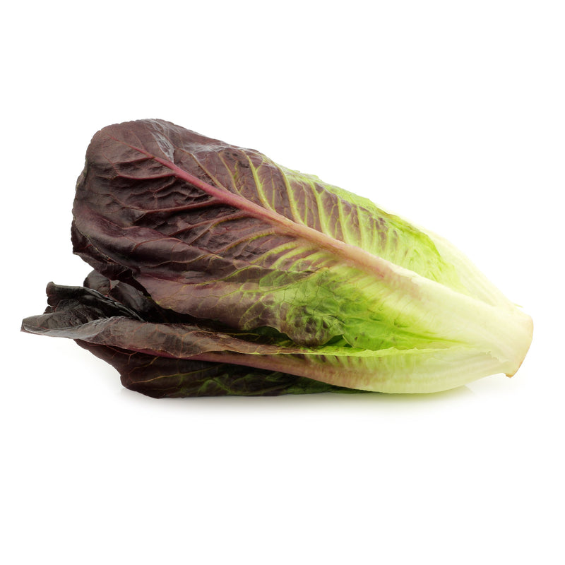 Lettuce - Romaine