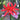 Oxblood Lilies (Rhodophiala Bifida)