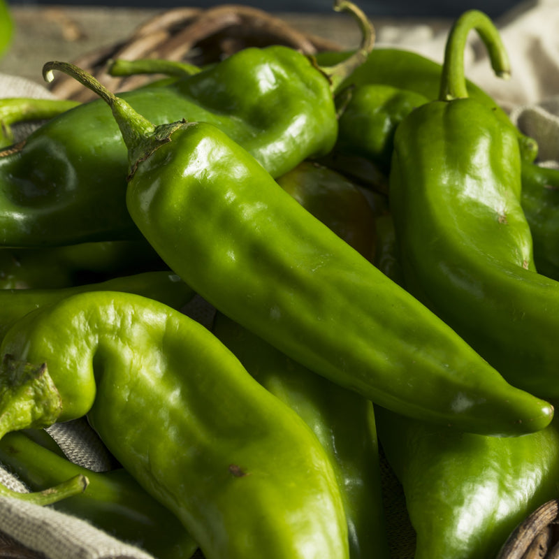 Multiple Hatch Green Chile Peppers