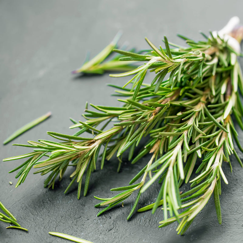 Dried Rosemary on a tabletop