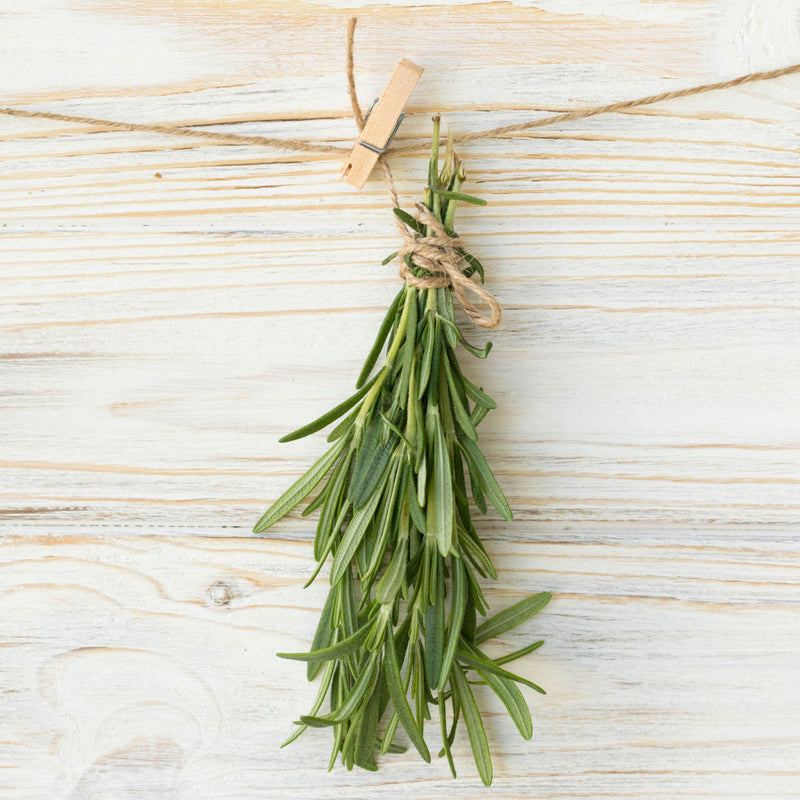 drying rosemary on a line