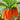 Burnt Orange Fritillaria Flower