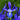 Blue Diamond Dutch Iris Flower