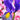 Dutch Iris Mystic Beauty Flower Petals
