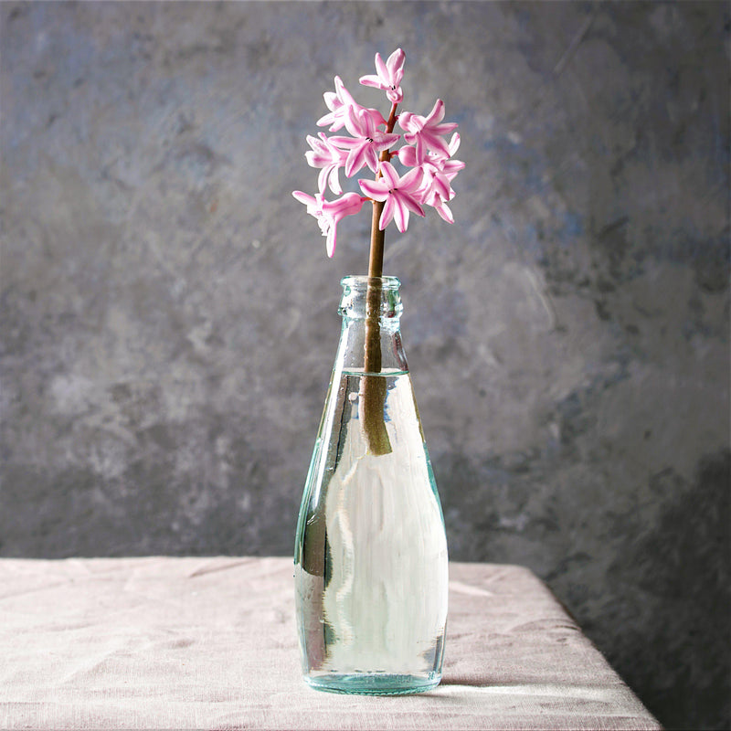 Pink Hyacinth in a Vase