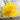 A Single Cut Carlton Daffodil