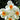 A Quartet of White and Orange Narcissus Geraniums