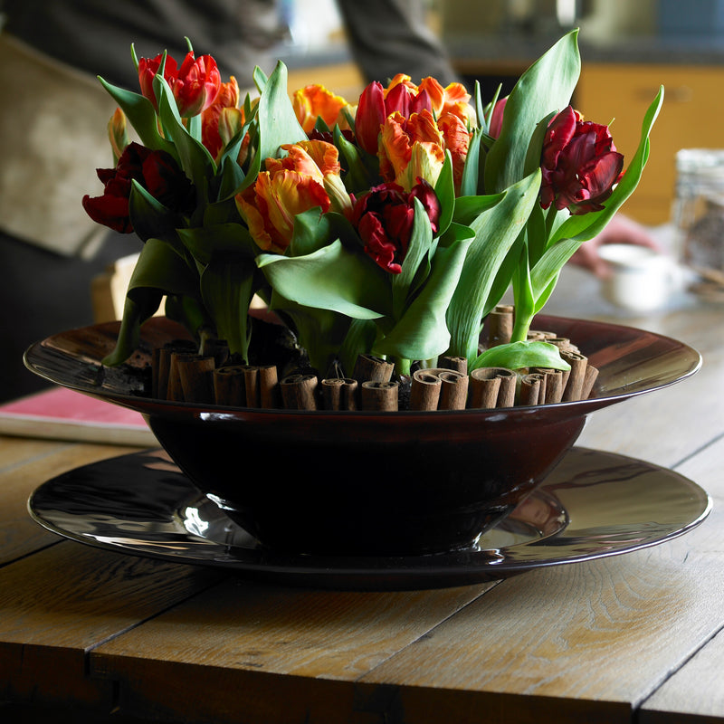 A Bowl Full of Rococo Tulips